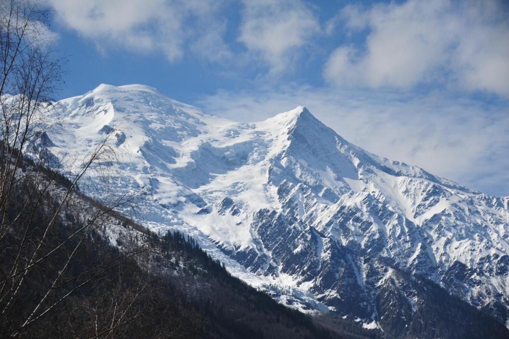 Mont Blanc Spa Chalet Bnb Chamonix Exterior foto
